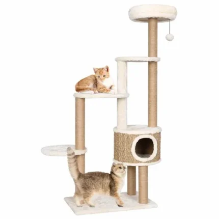 arbre a chat escalier